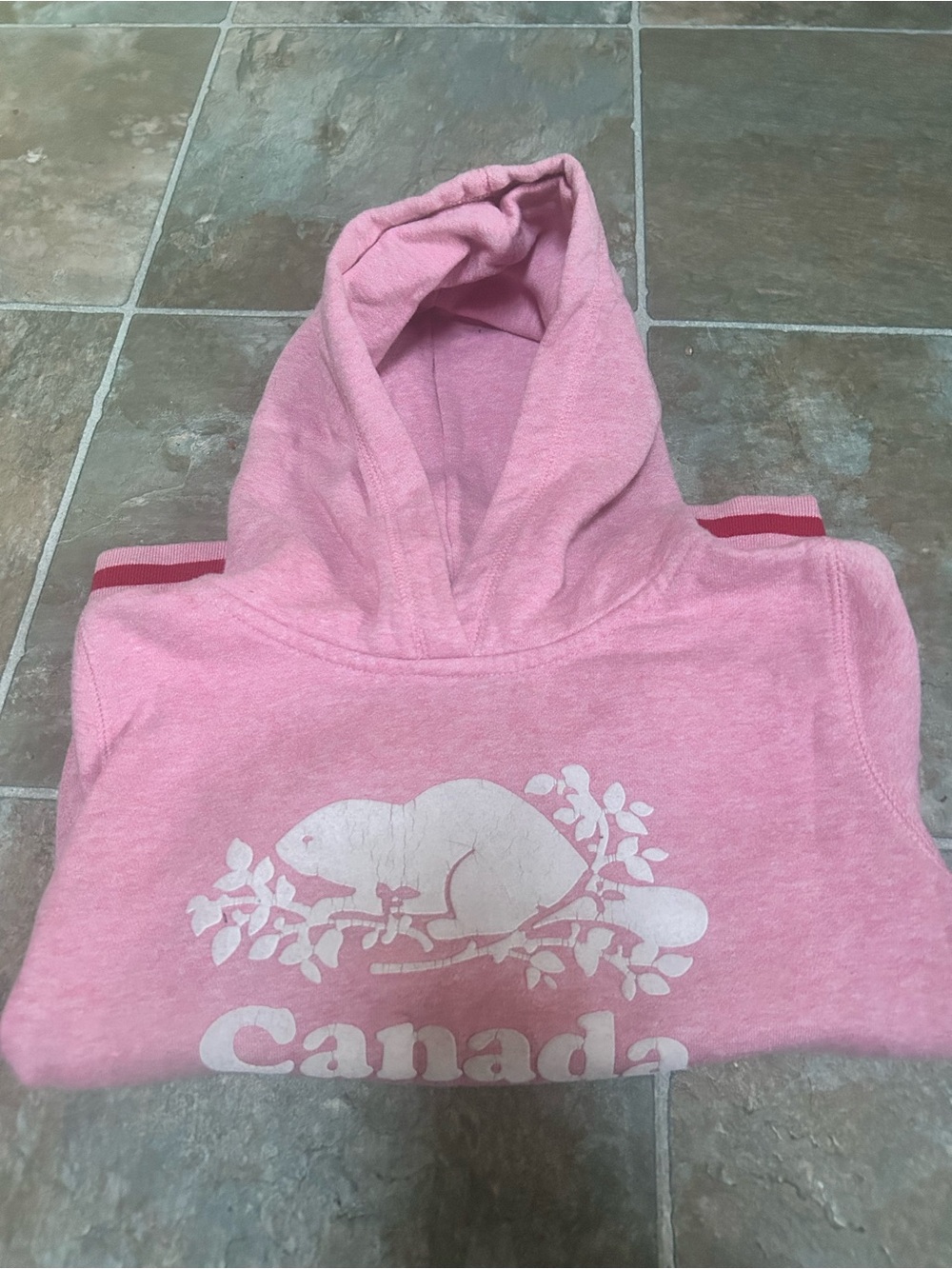 Roots Pink Hooded Sweatshirt with White Canada Graphic